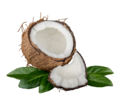 JB Coconut